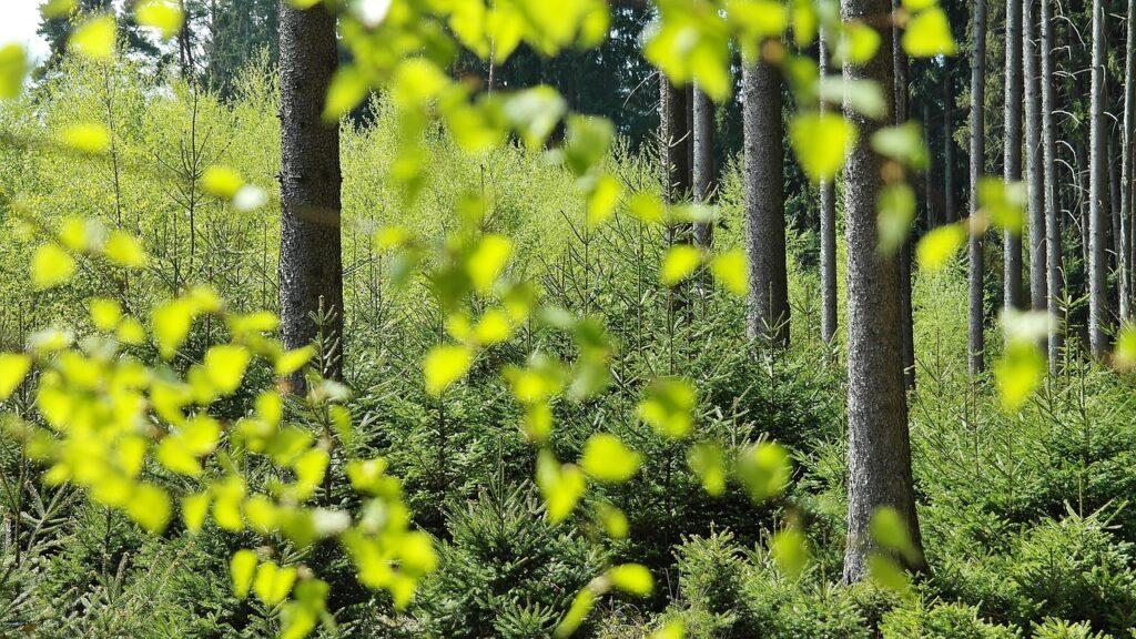Oczyszczalnie ścieków a ochrona środowiska wodnego: Wyzwania i perspektywy